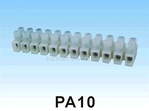 PA10